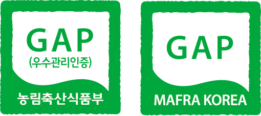 GAP 국문,영문마크